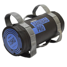Load image into Gallery viewer, Jordan Fitness Sandbag Pro