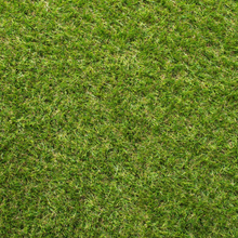 Load image into Gallery viewer, Value C Shaped 30mm Artificial Grass
