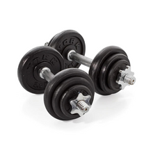 Load image into Gallery viewer, York Fitness 20kg Black Cast Iron Dumbbell Set And Case