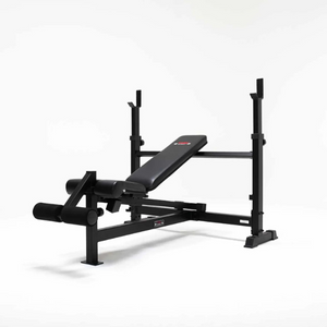 C19BB Olympic Barbell Bench with Leg Developer