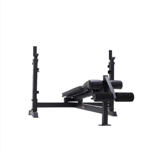 C19BB Olympic Barbell Bench with Leg Developer