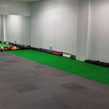 Load image into Gallery viewer, Econ Classic Green Indoor Sled Track
