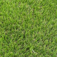 Carica l&#39;immagine nel visualizzatore di Gallery, Kingdom 35mm PU Backed Artificial Grass
