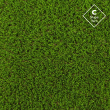 Carica l&#39;immagine nel visualizzatore di Gallery, National C Premium 37mm Artificial Grass
