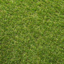 Carica l&#39;immagine nel visualizzatore di Gallery, Value C Shaped 30mm Artificial Grass
