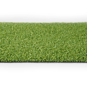 Econ Sport Plus 13mm Artificial Grass